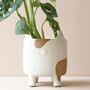 Natural Ceramic Cat Planter, thumbnail 1 of 4