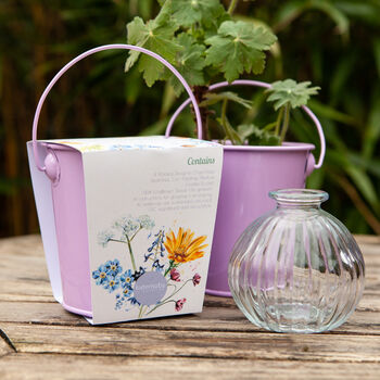 Grow Your Own Wildflower Bouquet And Vase Gift Set, 11 of 12