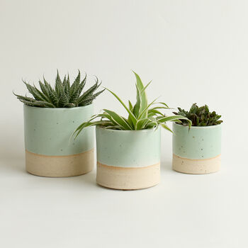 Set Of Two Or Three Handmade Ceramic Plant Pots, 7 of 9