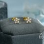 Uncoloured Forget Me Not Flower Cz Stud Earrings, thumbnail 5 of 12
