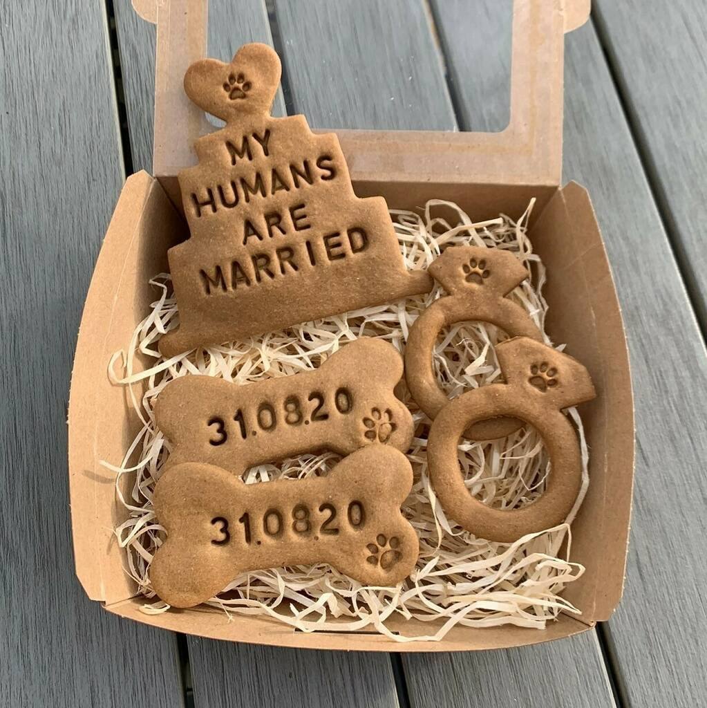 Dog Biscuits For Humans