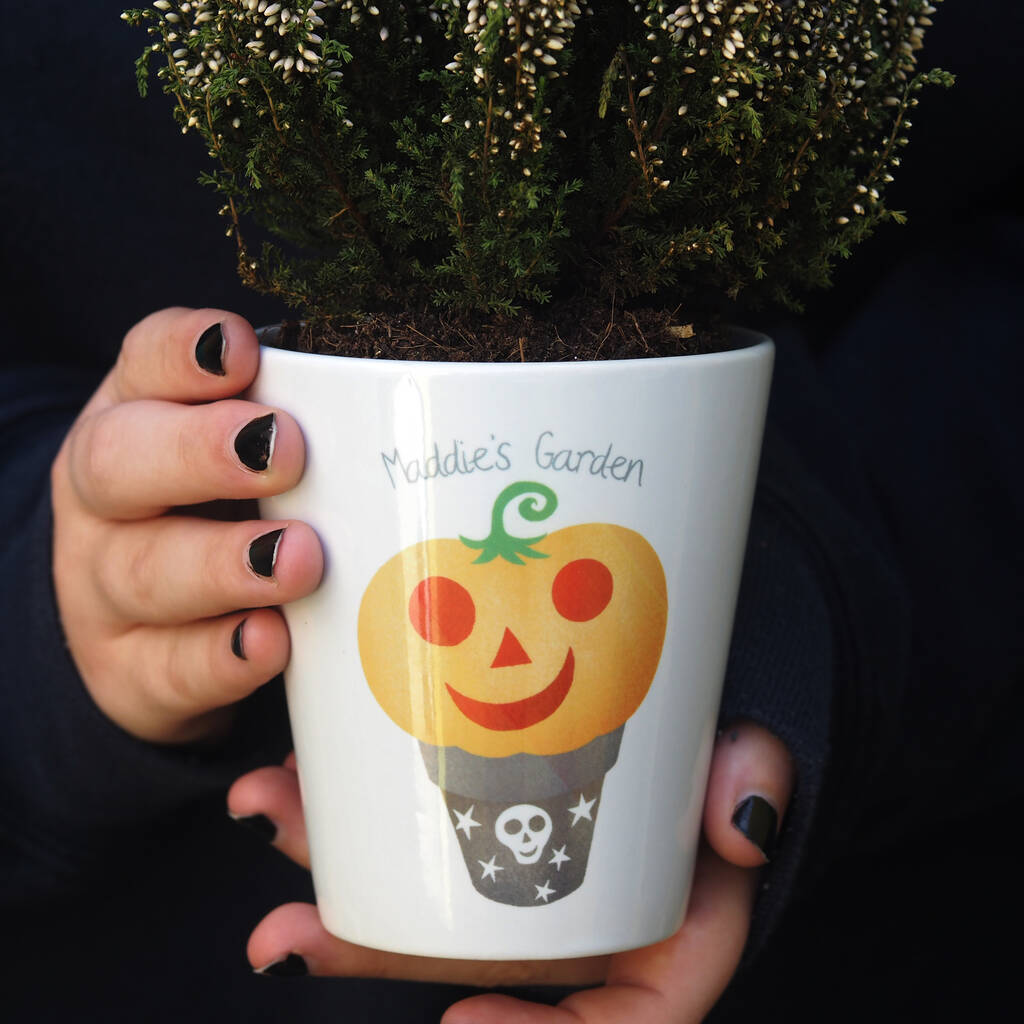 Personalised Pumpkin Plant Pot With Seeds, 1 of 3