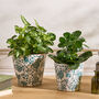 Set Of Two Green Floral Plant Pots, thumbnail 3 of 5