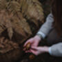 Foraging Experience Walk For Two In The South Downs, thumbnail 6 of 12