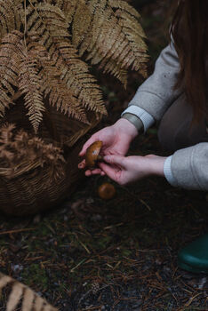 Foraging Experience Walk For Two In The South Downs, 6 of 12