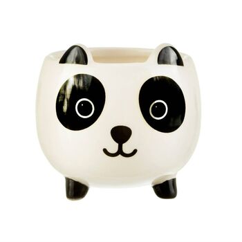 Cute Panda Plant Pot With Choice Of Plants, 2 of 2