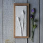 Sea Thistle No.Two Plaster Cast Wall Plaque, thumbnail 1 of 5