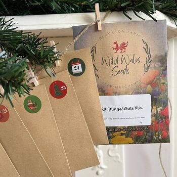 24 Wildflower Seeds Christmas Countdown Advent Calendar, 8 of 8