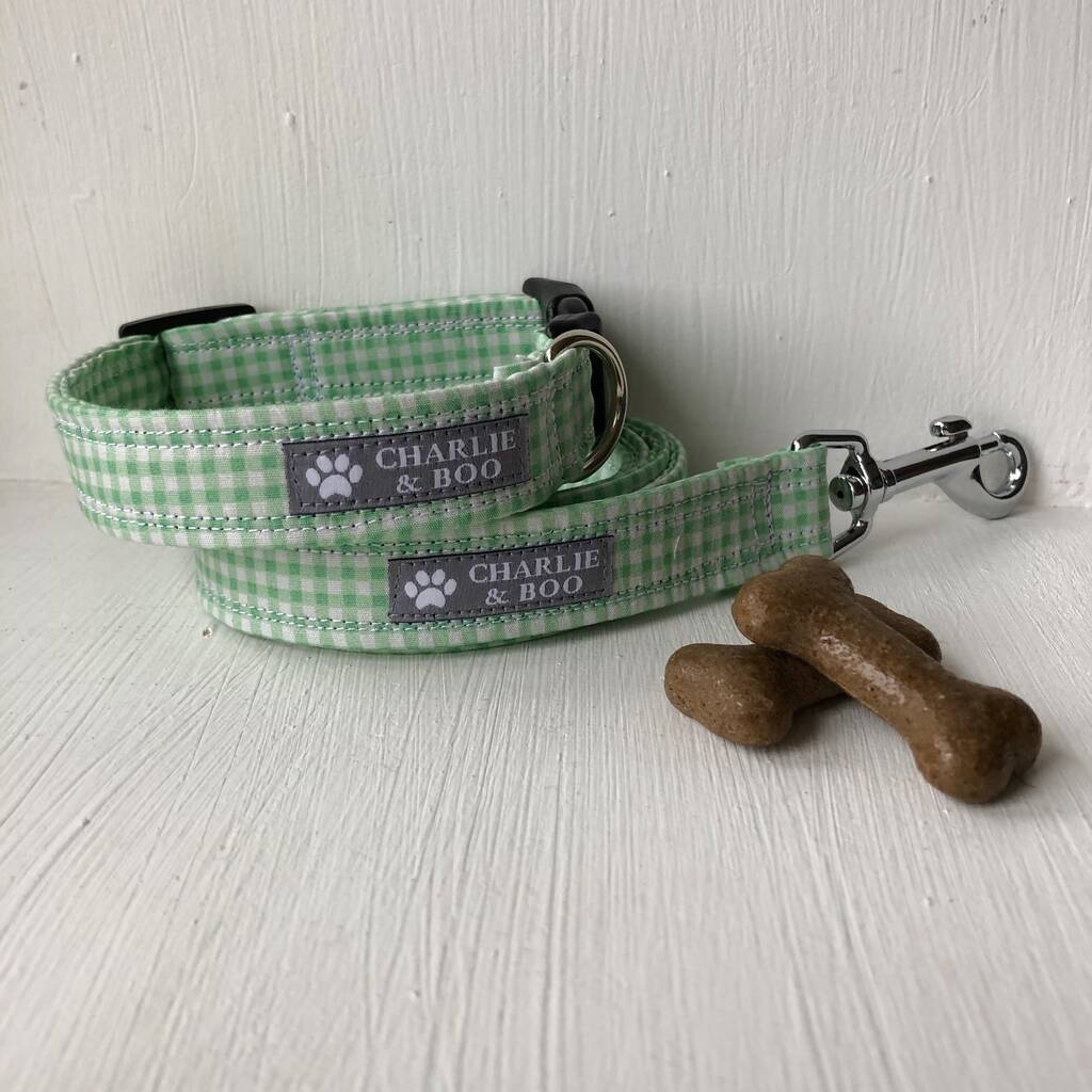 girl dog collars