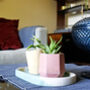 Geometric Concrete Mini Vessel Planter, thumbnail 3 of 12