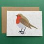 Christmas Robin Seed Card Plantable, thumbnail 5 of 5