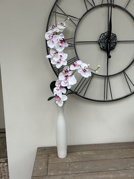 White And Pink Phalenopsis Orchid In Tall Slim Vase, 8 of 8