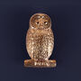 G Decor Golden Owl Polished Brass Door Knocker, thumbnail 2 of 4