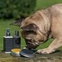 Luxurious Prebiotic Odour Control Dog Shampoo, thumbnail 4 of 4