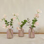Pink Glass Bottle Vases Set Of Three, thumbnail 6 of 7