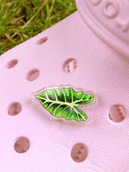 Houseplant Leaf Set Of Three Clog Shoe Charms, 2 of 12