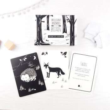 Black And White Sensory Book And Flash Card Gift Set, 9 of 9
