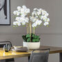 White Orchid In Stone Pot, thumbnail 2 of 2