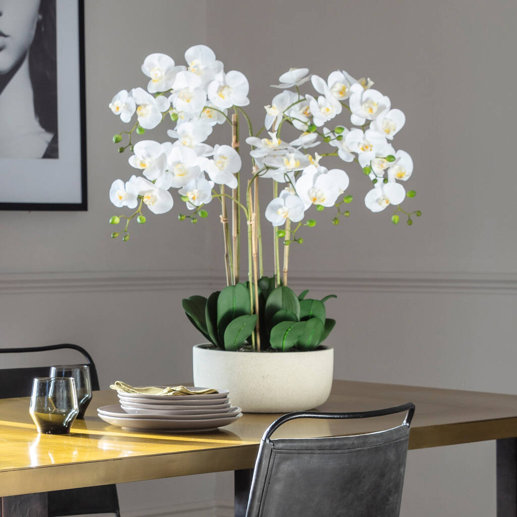 White Orchid In Stone Pot By LH Interiors | notonthehighstreet.com