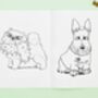 Colouring Books Dogs And Cats Pack Of Four, thumbnail 6 of 12