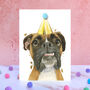 Boxer Dog Pompom Birthday Card, thumbnail 1 of 1