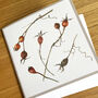 Autumn Colour Botanical Art Cards Pack, thumbnail 5 of 5