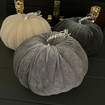 Grey Velvet Pumpkin With Silver Stem, 4 of 4