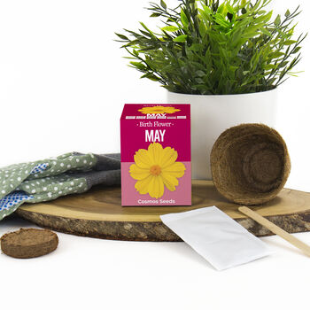 Grow Your Own Birth Flower Choose Your Month, 12 of 12