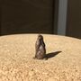 Miniature Bronze Moon Gazing Hare Sculpture 8th Bronze, thumbnail 2 of 12