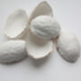 Walnut Shells From Stoneware Fine Bone China, thumbnail 2 of 3
