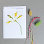 Pack Of Four Notelets With Tulip Illustrations, thumbnail 2 of 3