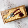 Chocolate Red Rose And Secateurs Gardeners Gift Box, thumbnail 1 of 10