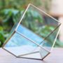 Succulent Glass Cube Terrarium Kit, thumbnail 4 of 5