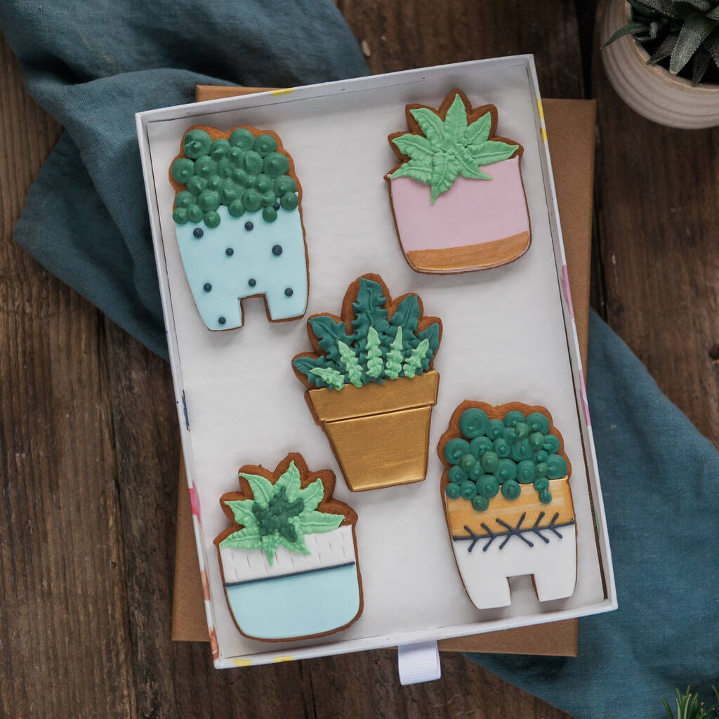 House Plant Biscuit Gift Set By Honeywell Biscuit Co