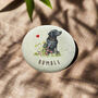 Marble Pet Memorial, thumbnail 1 of 12