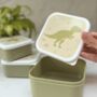 Dinosaur Gift Box For Kids – Lunch And Learn Set – Ideal For School And Birthdays, thumbnail 4 of 9