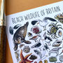 Beach Wildlife Of Britain Watercolour Postcard, thumbnail 11 of 11