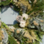 Christmas Wreath Making Kit In Gold And White, thumbnail 5 of 5