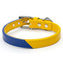 Multi Coloured Leather Dog Collar Dandy Duo, thumbnail 1 of 7