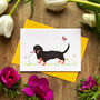 Darcy The Dachshund Illustrated Blank Greeting Card, thumbnail 1 of 10