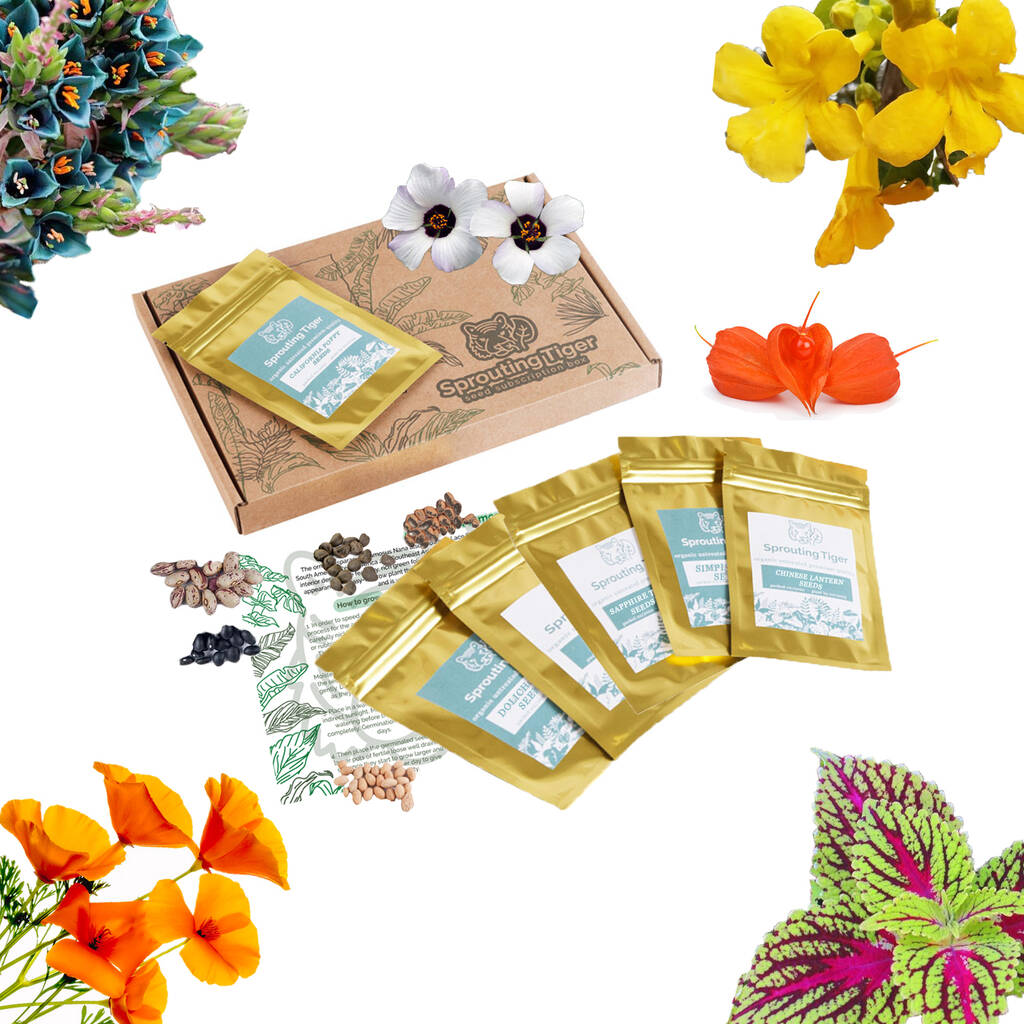 Grow Your Own Tropical Flower Garden Paradise Gift Set, 1 of 9