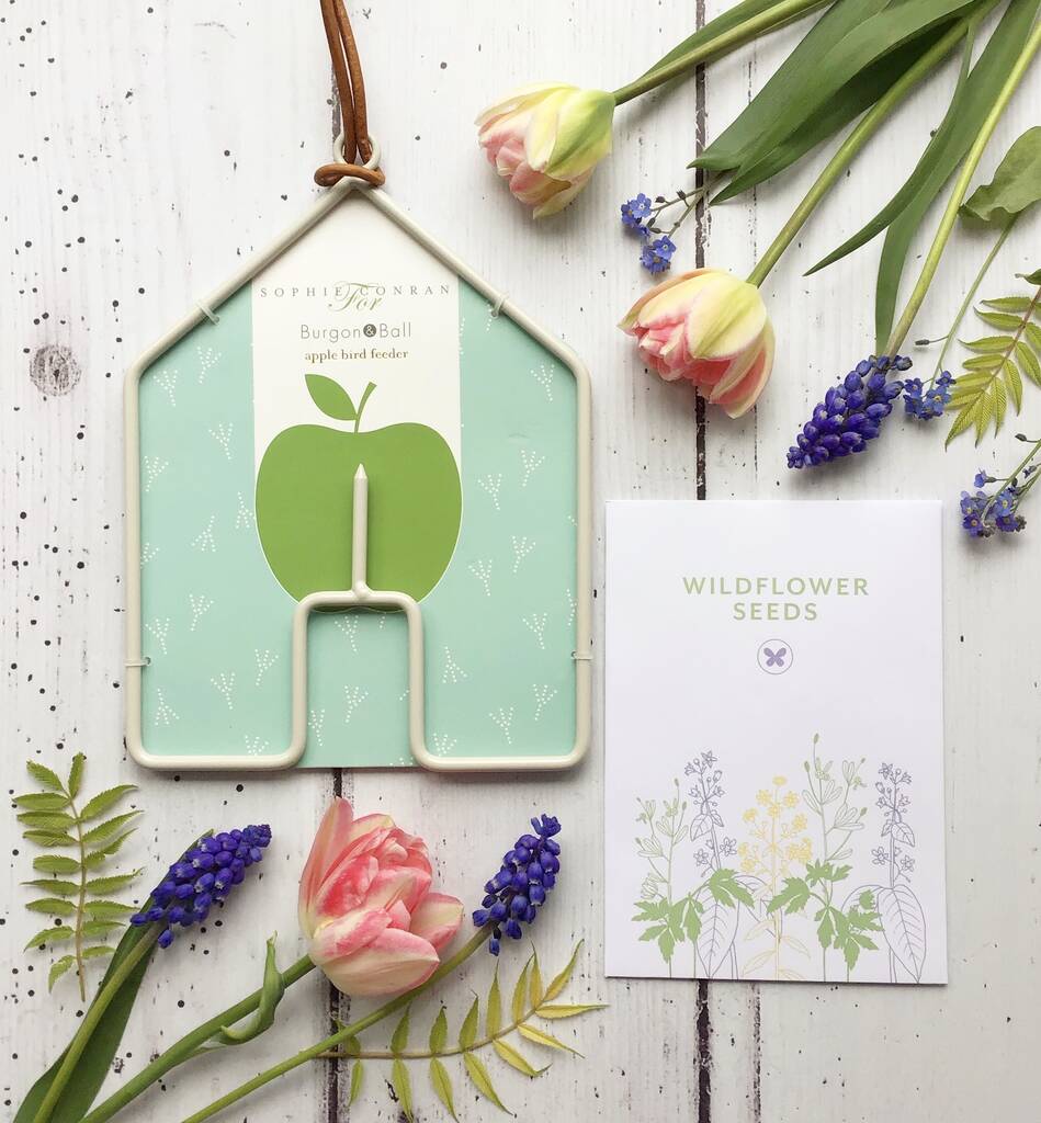 House Shaped Bird Feeder Wildflower Seeds By Border in a Box
