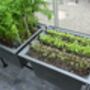 Small Self Watering Plastic Vegetable Planter, thumbnail 5 of 12