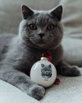 Cat Portrait Christmas Bauble. Gift For Cat Lover, 4 of 5