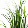 Artificial Grass Plant With White Ceramic Planter, thumbnail 4 of 5