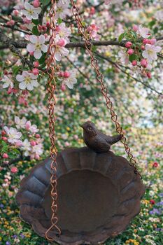 Bird Feathered Friends Gift Set, 4 of 7