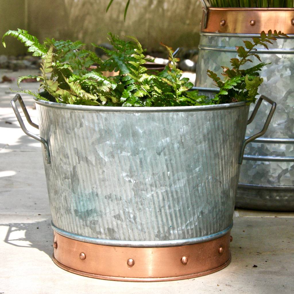 Galvanised Steel Bucket Planter By London Garden Trading