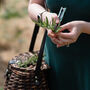 Foraging Workshop And Wild Feast In The South Downs, thumbnail 5 of 12