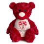 Personalised Love You Balloons Large Red Teddy Bear, thumbnail 1 of 7