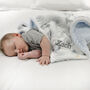 Personalised Blue Elephant And Owl Blanket, thumbnail 7 of 10